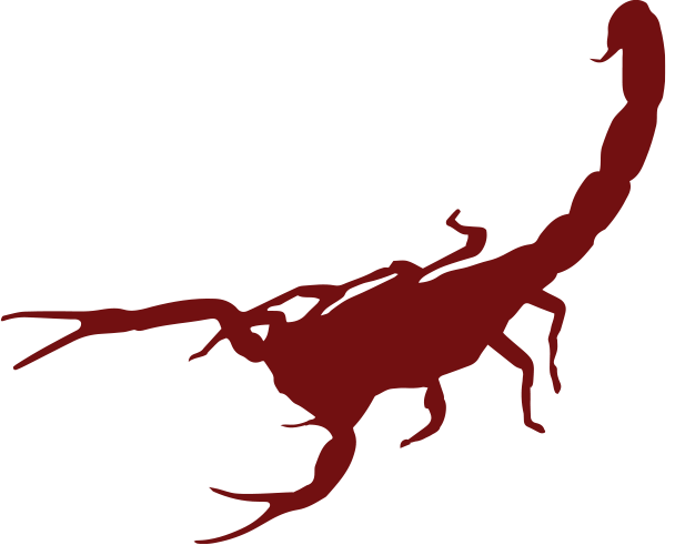 Anascorp Scorpion