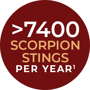 Over 7400 Scorpion Stings Per Year
